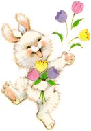 Bunny Image