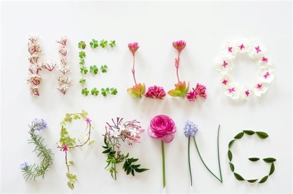 Hello Spring Image
