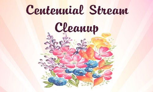 Centennial Stream Cleanup