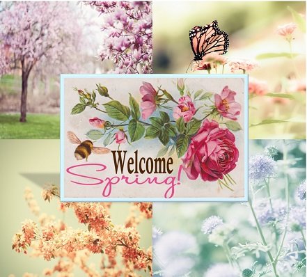 Welcome Spring Image