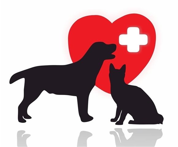 Pet CPR Image