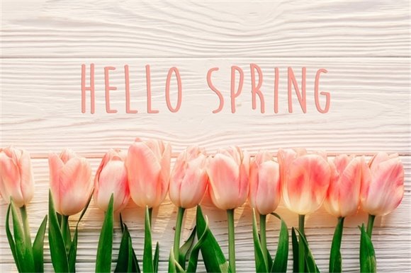 hello spring