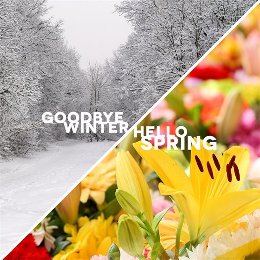 Goodbye Winter Hello Spring Image