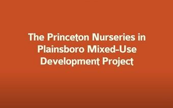 Princeton Nurseries Graphic